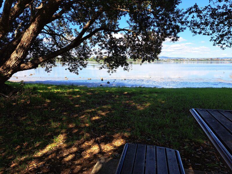 タウランガのベンチと木陰、湖の画像です